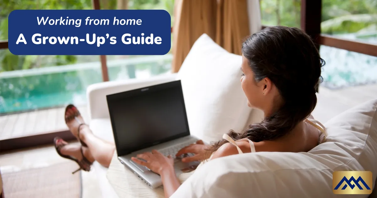 A Grown-Up’s Guide to home business